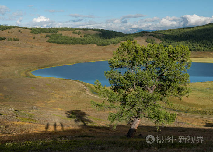 阿尔泰山的性质