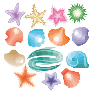海边的贝壳和星星的集合图片