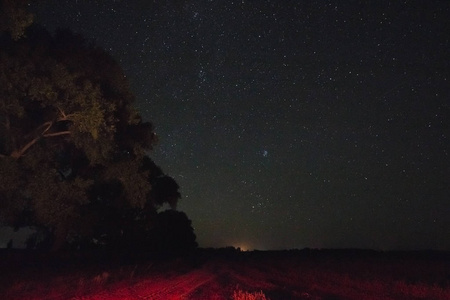 夜空中繁星的夜景图片