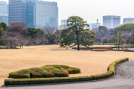 皇帝花园