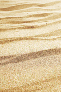 沙滩上阳光明媚的一天, 背景。沙丘, 米色纹理。垂直选择性聚焦
