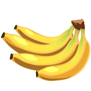 一堆黄色多汁成熟的香蕉,矢量水果照片