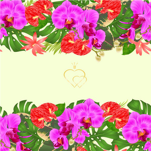 花卉边框无缝水平背景花束与热带花卉插花, 紫兰花, 棕榈, 蔓和无花果和红掌复古矢量插图可编辑手绘手画