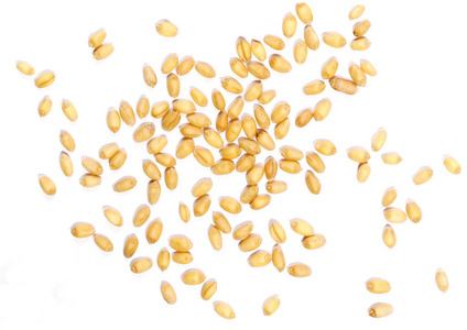 小麦籽粒背景图片