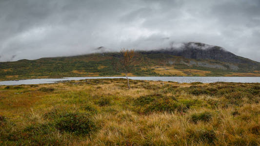 Rondane 挪威的薄雾天气