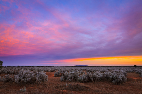 七彩的晚霞,在澳大利亚远程平原农村土地照片