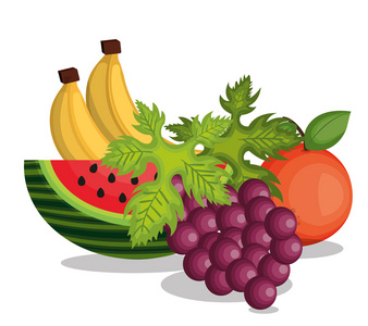 卡通水果图图片大全