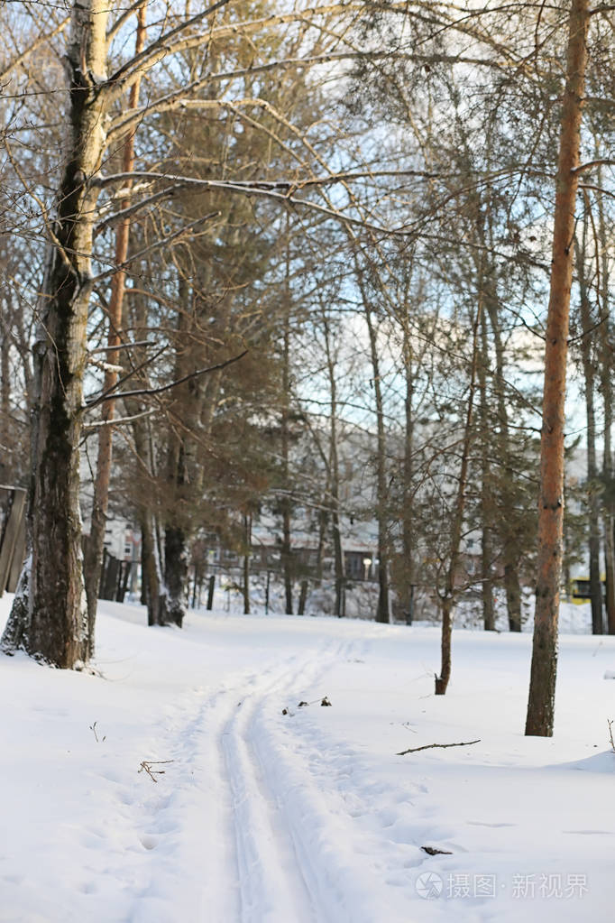 冬季景观积雪覆盖大片.一个公园在冬天在