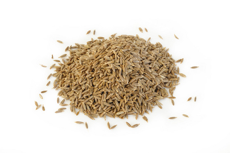 茴香种子白色图片