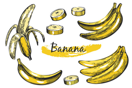 带手绘香蕉图标的矢量集