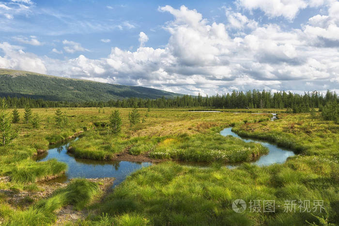 苔原在夏天.俄罗斯亚马尔极地乌拉尔