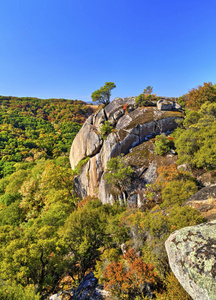 美丽的风景，在山中