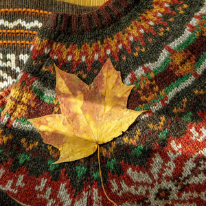 秋叶。秋季枫叶在针织毛衣背景下的阳光