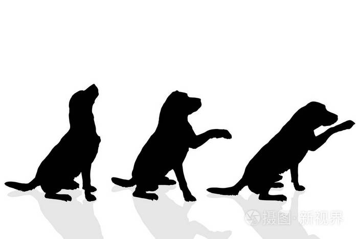 在白色背景下被隔离的狗的黑色剪影