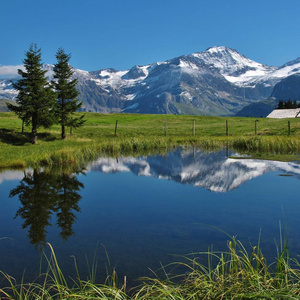 芒 Wildhorn 反映在池塘, Hohi Wispile。Bernese Oberland。瑞士