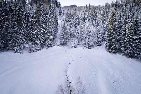 冰雪覆盖的山林在冬日的美景