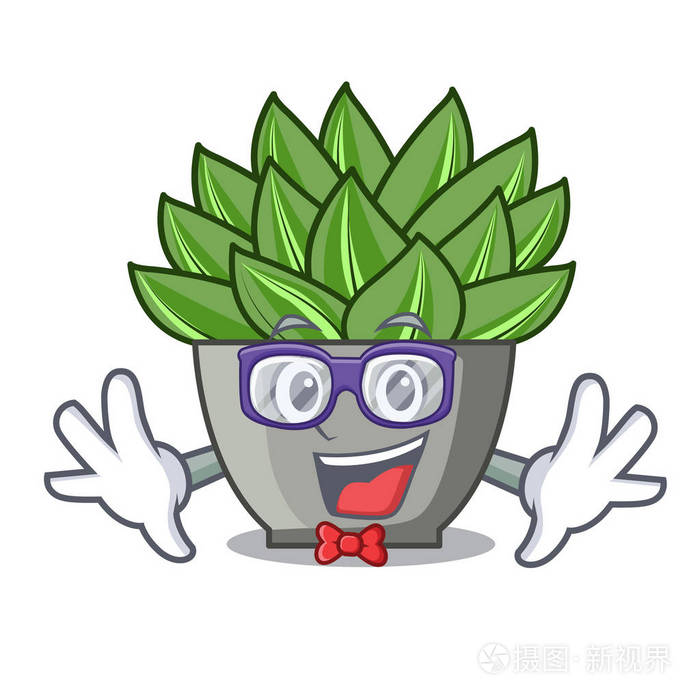 绿 echeveria 仙人掌卡通矢量插画的两个手指观