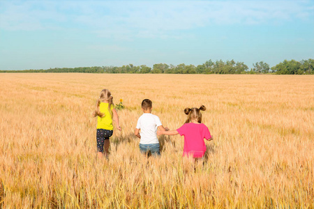 麦田里的孩子图片