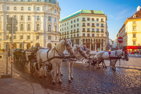 维也纳, 奥地利19.08.2018 骑马被画的运输或 Fiaker, 普遍的游人吸引力, 在米歇尔广场在维也纳