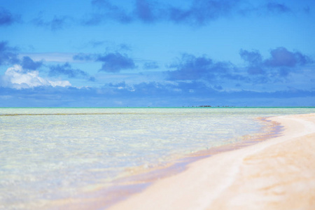 在波利尼西亚 rangiroa 的海岸线粉红色的沙滩像天堂的概念和