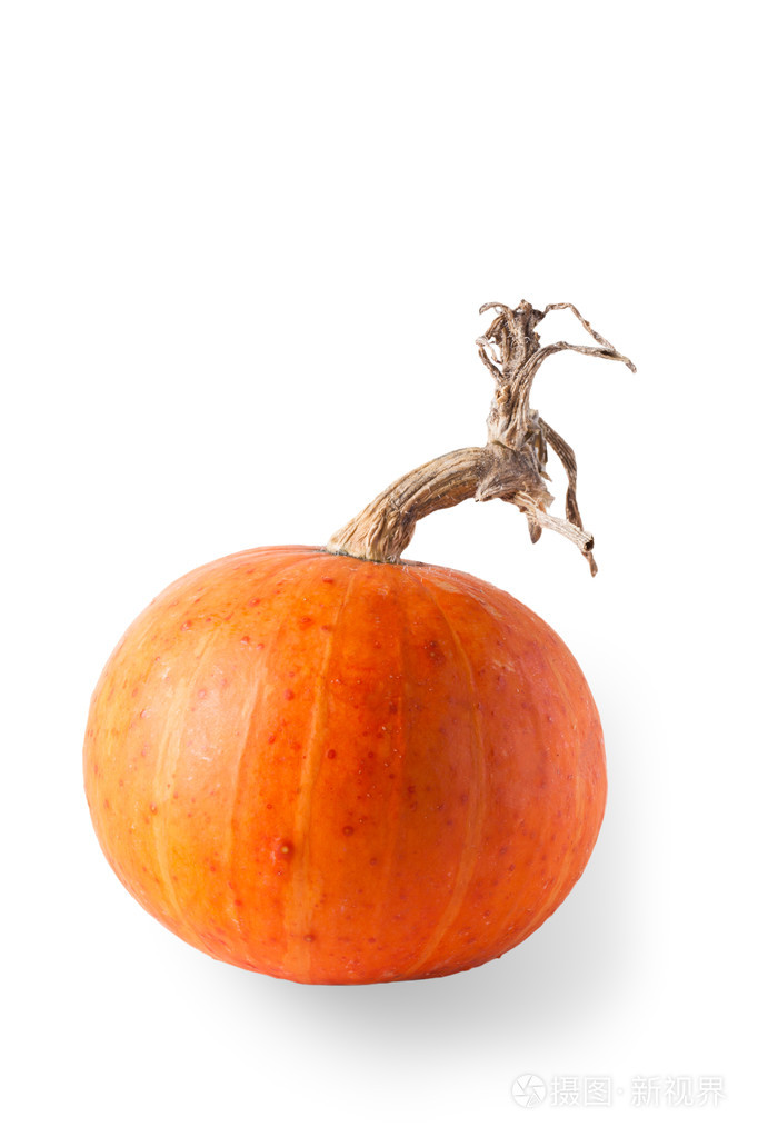 孤立在白色背景上的鲜橙色南瓜