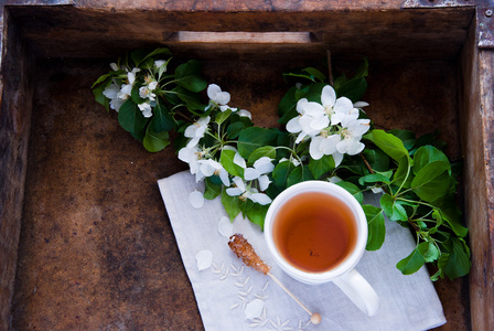 喝杯茶和春天的花朵
