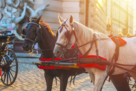 马为被绘的运输或 Fiaker, 普遍的游人吸引力, 在米歇尔广场在维也纳, 奥地利