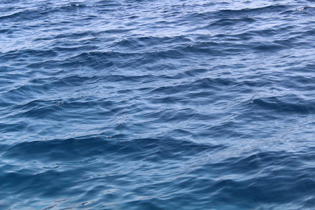红海, 世界上最纯净的海洋