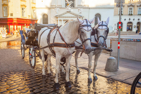 马拉的马车或 Fiaker, 流行的旅游景点, 在米歇尔广场在维也纳, 奥地利