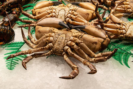 螃蟹在鱼市场特写腹部