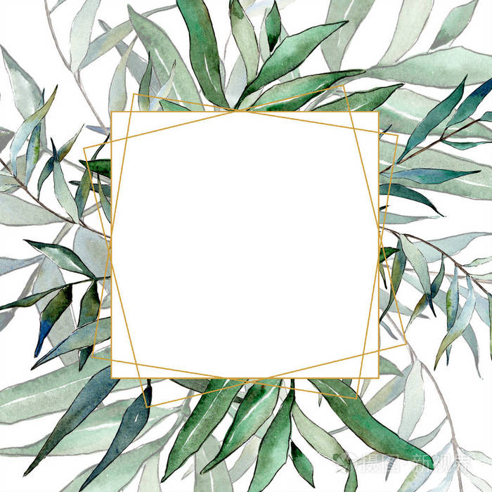 叶植物植物园花叶.框边框装饰广场.