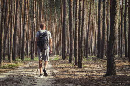 旅行者带着背包走在松树林的泥土路上。徒步旅行的概念在森林和山
