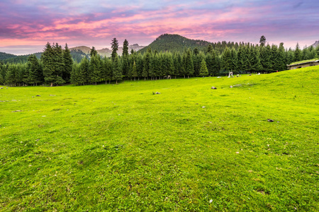 山地草原中国山地草原照片