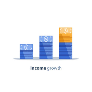 收入增长财务战略投资回报率筹资长期增值收入增长贷款分期付款