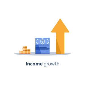 收入增长财务战略投资回报率筹资长期增值收入增长贷款分期付款