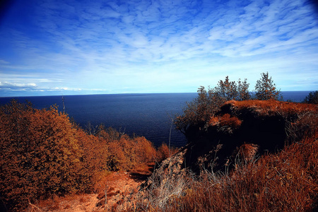 美丽的秋天森林风景。黄色森林, 树和叶子10月风景在公园里