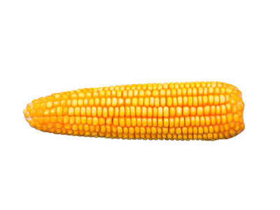 黄干玉米的动物。白色背景上孤立