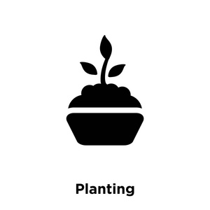 种植图标向量隔离在白色背景上, 标志概念的种植标志在透明的背景下, 填充黑色符号