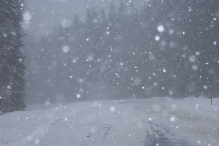 冬日的雪与雾, 冬日寂寞的风景