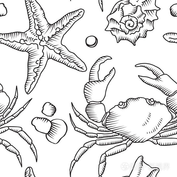 无缝模式与海星和螃蟹插画-正版商用图片0su9co-摄图新视界