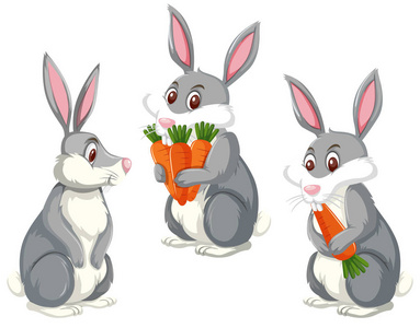 套装三可爱兔子插图