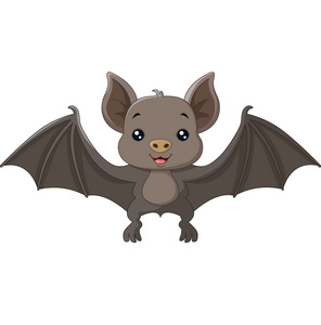 小蝙蝠可爱的小蝙蝠卡通飞行照片