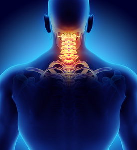 颈椎, 医疗概念三维图3d 插图骶骨和颈椎痛3d 插图骶骨和颈椎痛3d