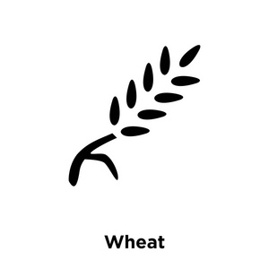 小麦图标矢量在白色背景下被隔绝, 标志概念小麦标志在透明背景, 实心黑色符号