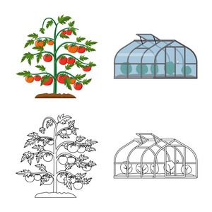 温室和植物符号的向量例证。温室和花园股票矢量图集