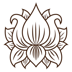 ins风花型设计孤立的莲花花型设计照片