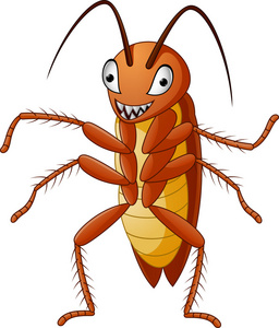 可爱的蟑螂在白色背景上孤立照片