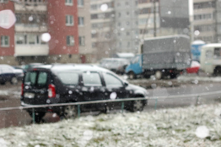 冬季森林景观阳光和雪