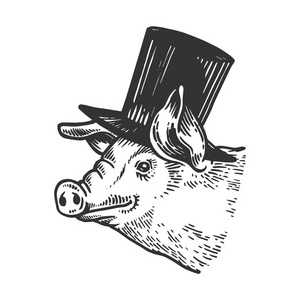 猪动物在圆筒顶帽子雕刻向量例证。刮板风格模仿。黑白手绘图像