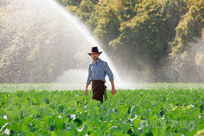 农夫站在田野上浇水或洒水系统的背景.